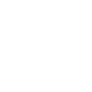 https://unitedpp.com/wp-content/uploads/2019/04/homepage-icon-texas.png